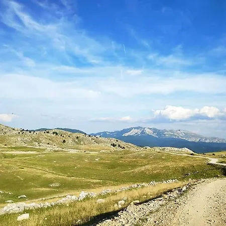 Bobica - *