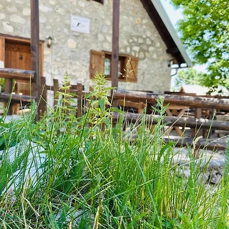 Bobica - Séjour chez l'habitant